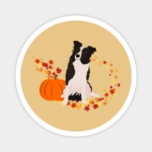 Border Collie with Pumpkin and Colorful Leaves with Autumn Theme Magnet